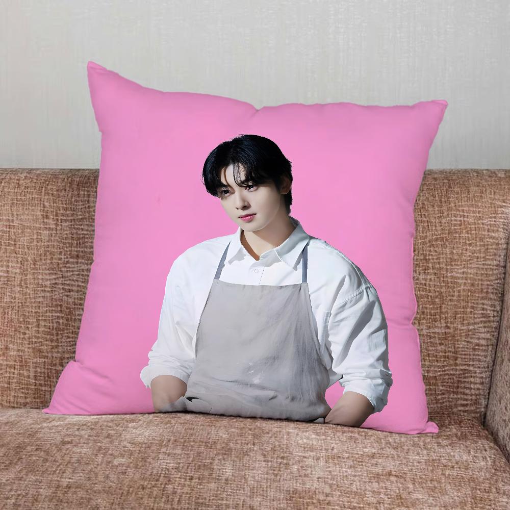 Singer Cha E-Eun Woo Pillow Case For Home Bedroom Car Office Decoration Living Room Sofa Cushion Cover Suitable