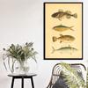 Ocean Sea Shell Fish Animal Canvas Painting Posters And Prints Wall Art Picture Vintage Life Chart Biology Decoration Home Decor