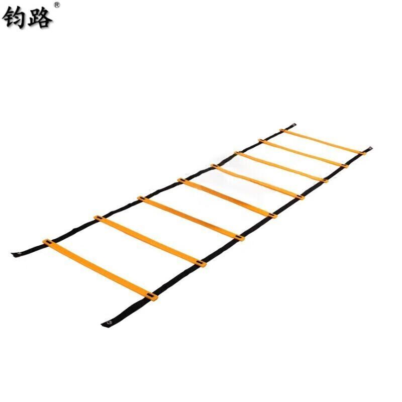 Agility Training Ladder