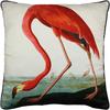 John James Audubon American Flamingo Filled Cushion