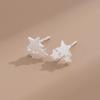 Trendy Silver Star Stud Earrings for Women