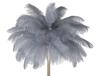 Floor Lamp Palm Gray Cm Ø 55X160