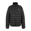Regatta Mens Marizion Padded Jacket