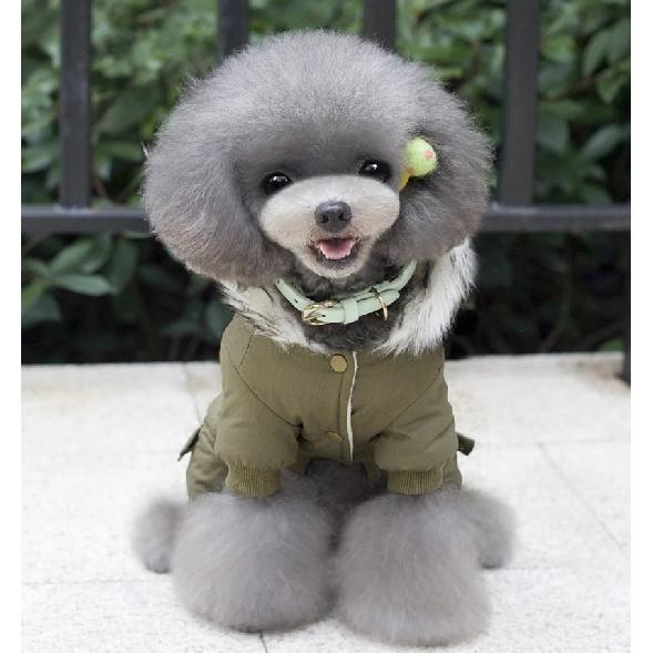 Kleidung für kleine Hunde Herbst Winter Warm Puppy Haustier Hund Mantel Jacke Mode mit Kapuze Chihuahua Yorkie Overalls Kleidung für Hunde