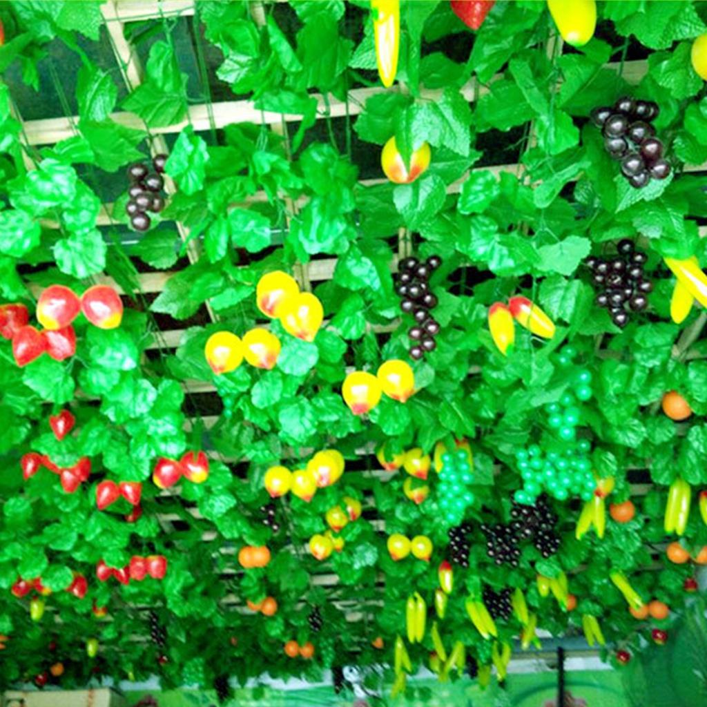 Vite Artificiale Vite d'Uva Vite d'Uva Fruttata Nuovissimo