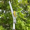High-Altitude Telescopic Fruit Picking and Pruning Shears for Loquats, Lychees, and Longans