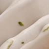 Botanic Serum Treatment