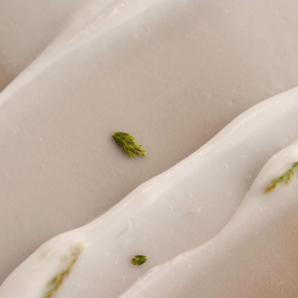 Botanic Serum Treatment