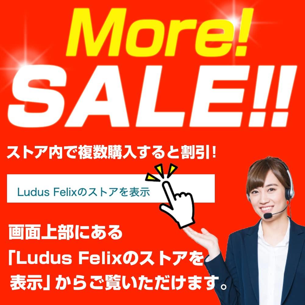 Earrings Rhinestone Fake Earrings Pierced Earrings Earrings [Ludus Felix] - Women's - - - Non-Pierced