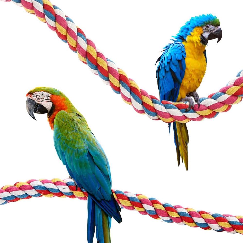 

Conure Colorful Bungee Pet Parrot Playstand Cotton Rope Bird Toys Perches 105cm
