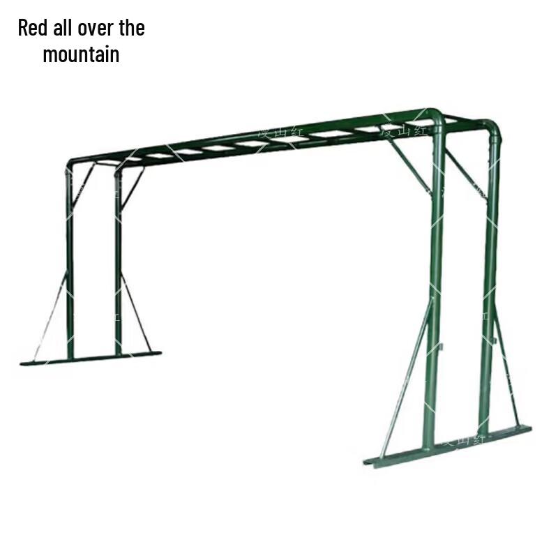 Agility Training Ladder