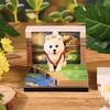 2026 Time Piece Calendar with LED Light 3D Dog Sticky Notes Tear Away Mini Desk Weekly Calendar Paper Craft Art Memo Pad Notepad Desktop Decoration