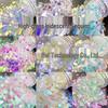 Mermaid AB Iridescent Hexagonal Sequins Glitter Flakes for Nail Art