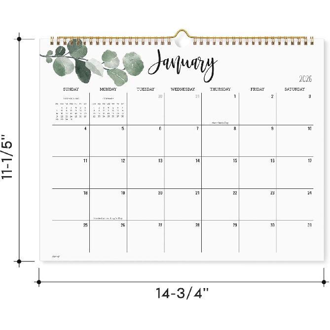 Cabbrix 2026 Wall Calendar, 12 Monthly Calendar Runs from January 2025 to December 2026, Home Schooling Planner for Family and School, Wirebound,15 x