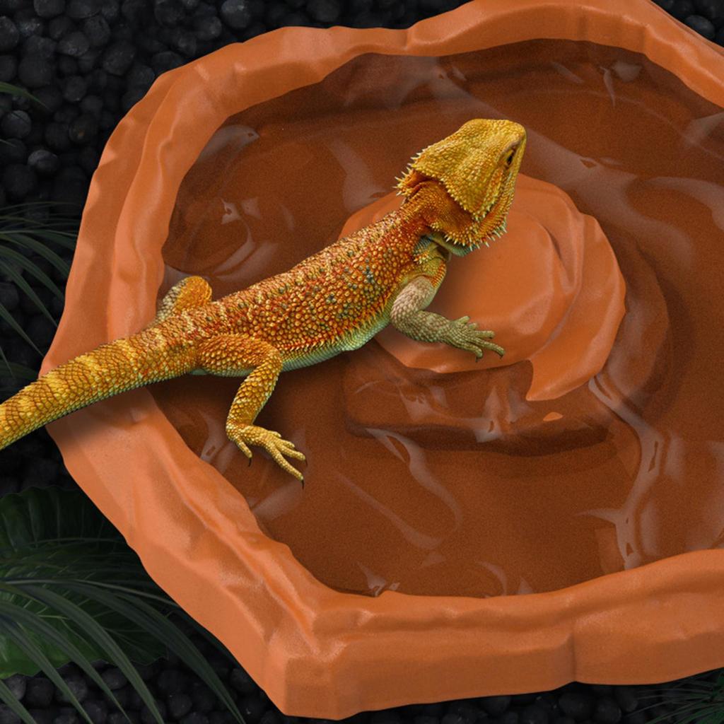 Reptilbadskål Pool Matning Matare Dekor Terrarium Skål för Sköldpaddor Husdjur