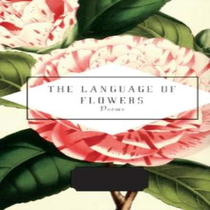 The Language of Flowers Hardback Book 9781841598079