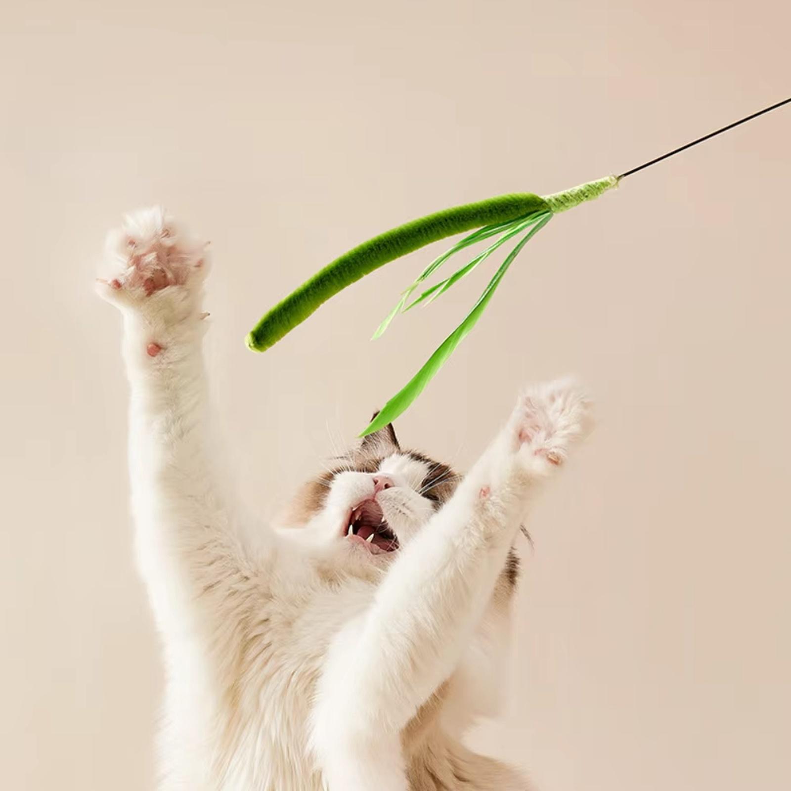 New Dog Tail Grass Wand Long Rod Interactive Teaser Toy one size зелёный