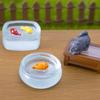 5Pcs Micro Landscape Dollhouse Luminous Fish Tank Home Living Room Desktop Decoration Creative Resin Crafts Small Ornaments