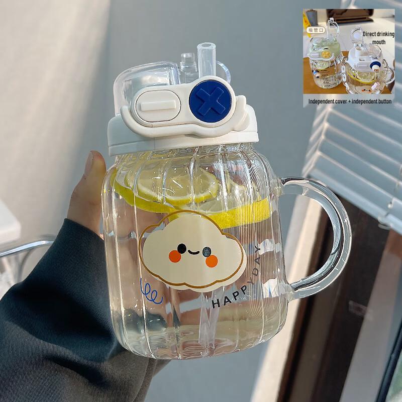 Wen Su Cute Glass Water Bottle with Handle and Straw