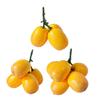 Artificial Loquat Fruit Realistic Simulation Fruits Model for Home Kitchen Dining Table Decoration Simulation Loquats