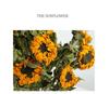 Sunflower Teddy Dried Flower Bouquet - Yunnan Natural Air-Dried Arrangement for Living Room Decor