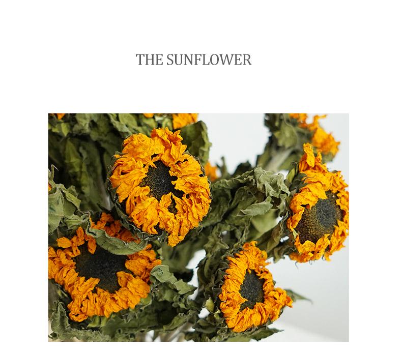 Sunflower Teddy Dried Flower Bouquet - Yunnan Natural Air-Dried Arrangement for Living Room Decor