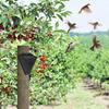 Solar-Vogelscheuche mit 13 Geräuschen Vogelscheuche Alarm Tierabwehr Outdoor-Schutz für Feld und Obstgarten Tierabwehrmittel