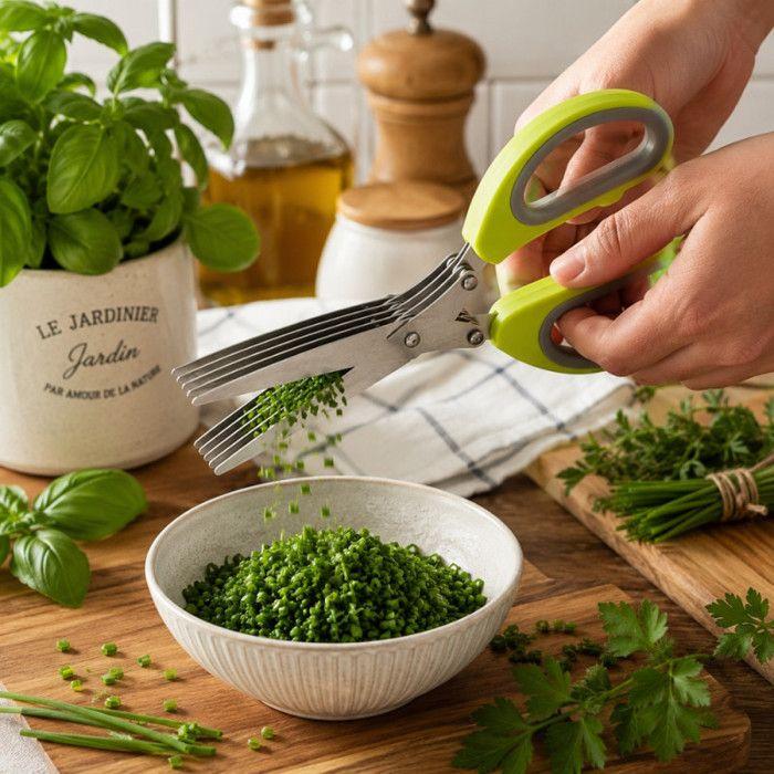 Ciseaux à Herbes 5 Lames 19 cm en Acier Inoxydable – Coupe, Hache et Émince avec Poignée Ergonomique