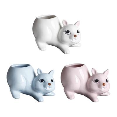 Squirrel Fleshy Plant Planter Pot Ceramic Small Planter Figurine Plant Pot for Mini Plant Maintenance Indoor Use
