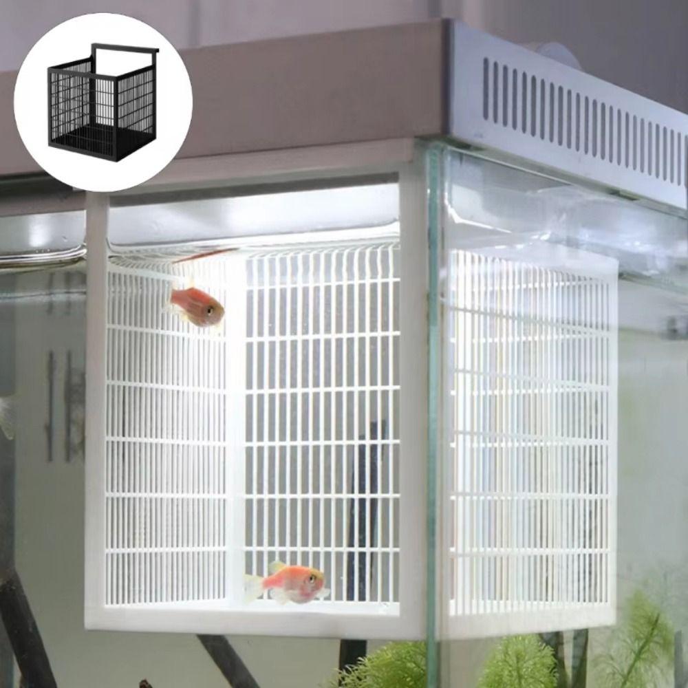 Hangable Aquarium Breeder Box Durable Fish Breeding Box Guppy Breeding Box  Shrimp Breeding