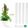 Plant Moss Poles & Nails Fit For Plant Stakes Support Climbing With Fastener Garden Balcony For Indoor & Outdoor Climbing Plant