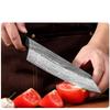 Damascus Knife Chef Knife Japanese Chef Knife 67 Layer Damascus Steel, Sharp Blade, Utility Kitchen Knife, Abalone Shell Handle