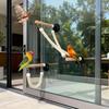Suction Cup Parrot Climbing Perch Bite Resistant Hanging Bird Swing Toy Non-slip Bird Ladder Bridge Training Tool