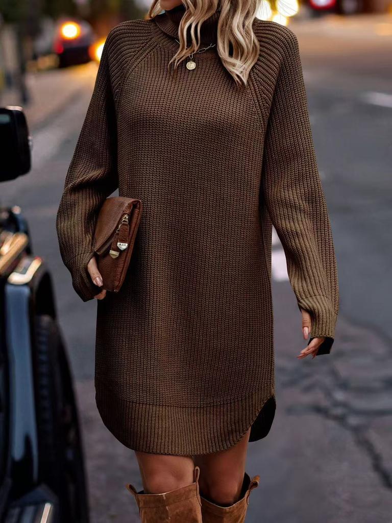 Women's High Neck Button Detail Knit Sweater Dress Loose Sleeve Mini Dress Multi Colors