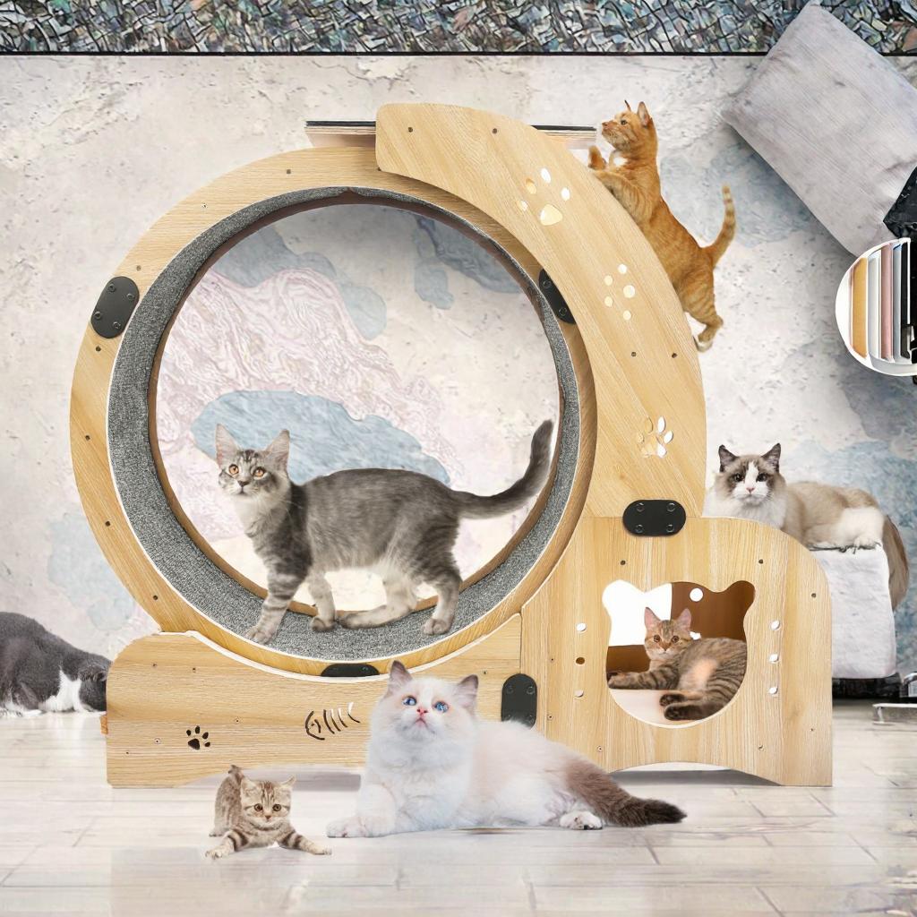 Hochwertig Luxuriös Klassisch Cartoon Modern Holz Multifunktional Katzenlaufband Laufband Großes Übung Interaktives Katzenspielzeug