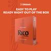 D'Addario WoodWinds D'Addario RICO REA2525 Bass Clarinet Reeds [Hardness: 2.5], 25-Pack