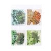 PET Nature Plant Stickers Pack - 30pcs Botanical Scrapbooking Decals for Journal Decor & Crafting (Waterproof)