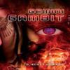 Gemini Gambit by D Scott Johnson Hardback Book 9780986396229