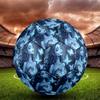 Corpse Bride Print Size 5 Soccer Ball, Standard Match Football for Sports Game and Team Practice, Ideal Gift for Soccer Fans