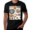 Opals And Agate TShirt Basic Comfort Fit For Unisex TShirt