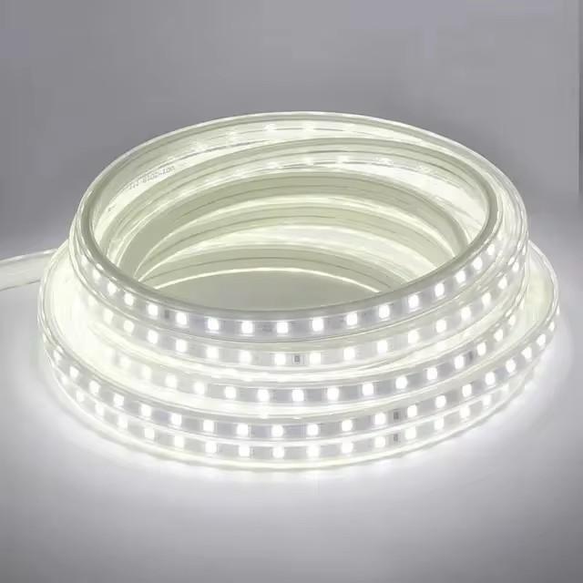 220V Led Strip Light Flexible Ribbon 60leds/m Waterproof Outdoor Led Light Strip Decorative Lights with EU Plug 1m/2m/5m/10m/20m