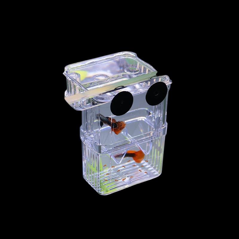 Pfauenaugenfisch Zuchtbox Fisch Aquarium Acryl Isolierbox Fischbecken Aufzuchtbecken Inkubator Zuchtbox Aquarien Zubehör