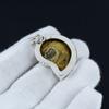 Ammonite Fossil Silver Pendant 925 Sterling Silver Pendant Gemstone Silver Jewelry Handmade Pendant Gift For Him Ammonite Fossil Jewelry