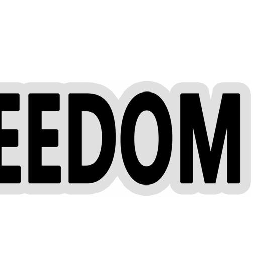 10Pcs Freedom Stickers Self-adhesive Removable Weatherproof Laptop Bumper Decal Window Waterproof Car Stickers