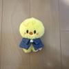 Used SKZOO BbokAri PLUSH 10cm Ver. Plush