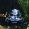 Environmental Snail Trap For Aquarium Fish Tank Plants Planarian Tropical Coldwater Pest Catch