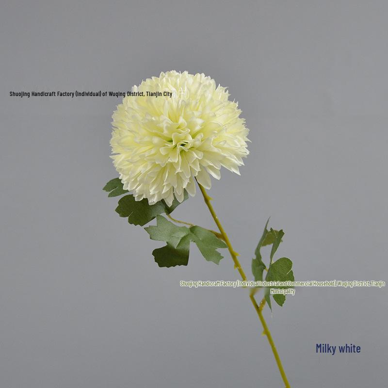 Green Onion Ball Single Stem Chrysanthemum Gift Box Bouquet and Floor Stand Accessories