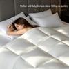 Hengyuanxiang Anti-bacterial & Anti-mite Winter Quilt