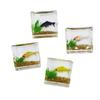 62KD Delicate Glass Fish Aquarium for Dollhouse Decoration Realistic Glass Decor