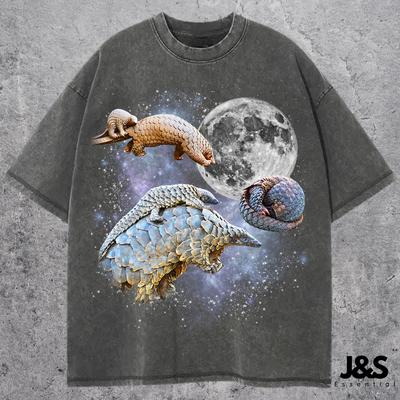 Üst giysisi – T-shirtler